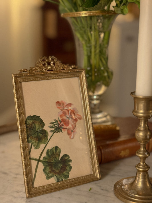 French Geranium Botanical Study in Gilt Frame