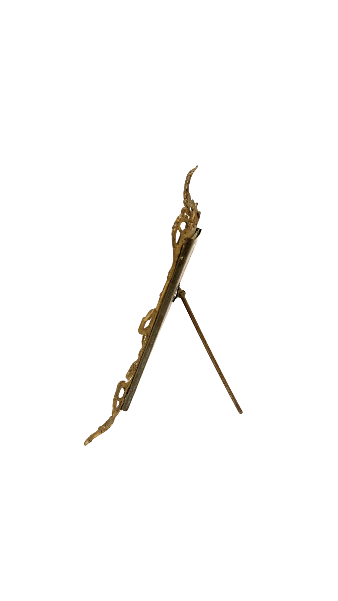 Ornate Bronze Frame