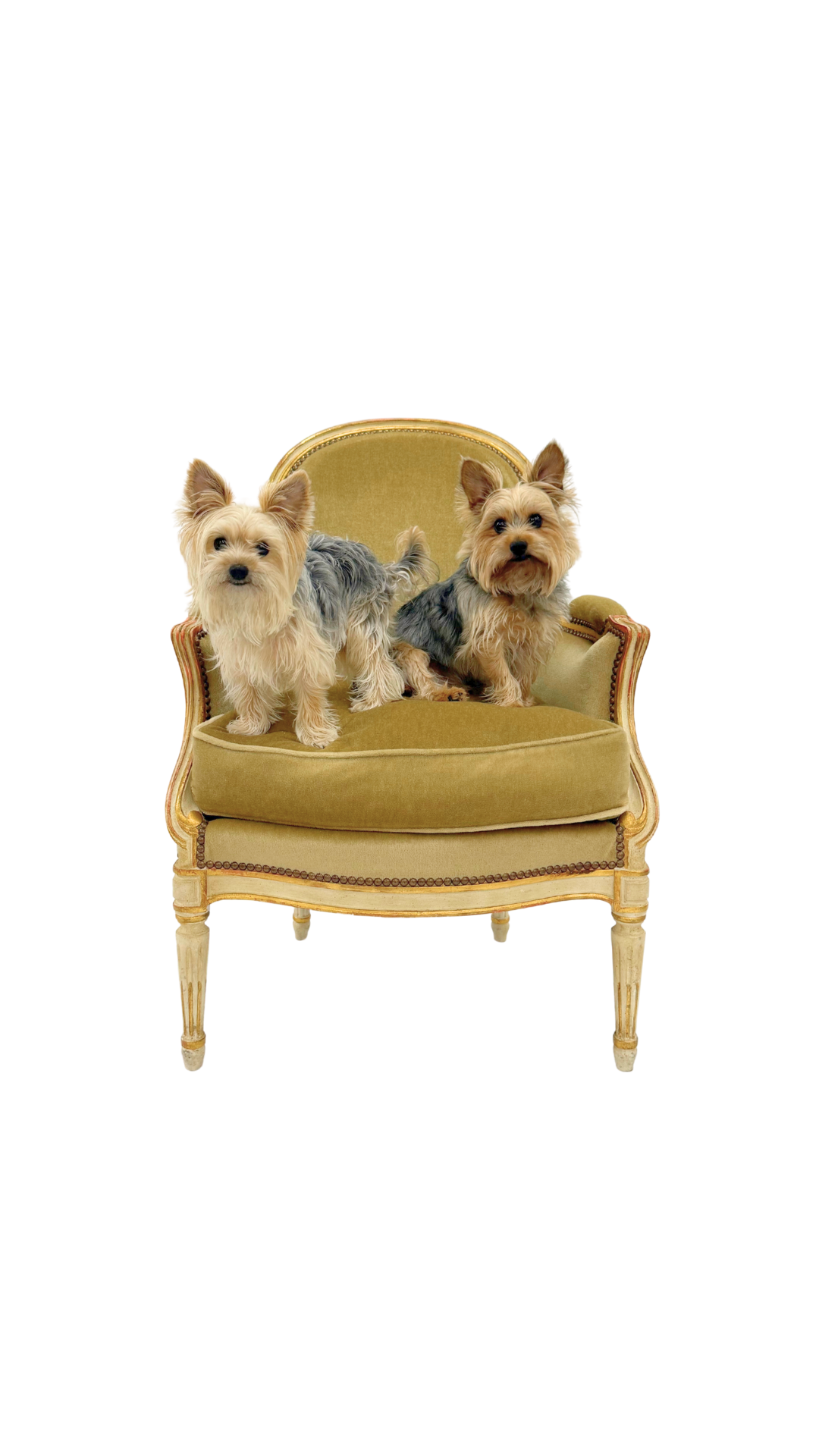 French Louis XVI Bergère Chair