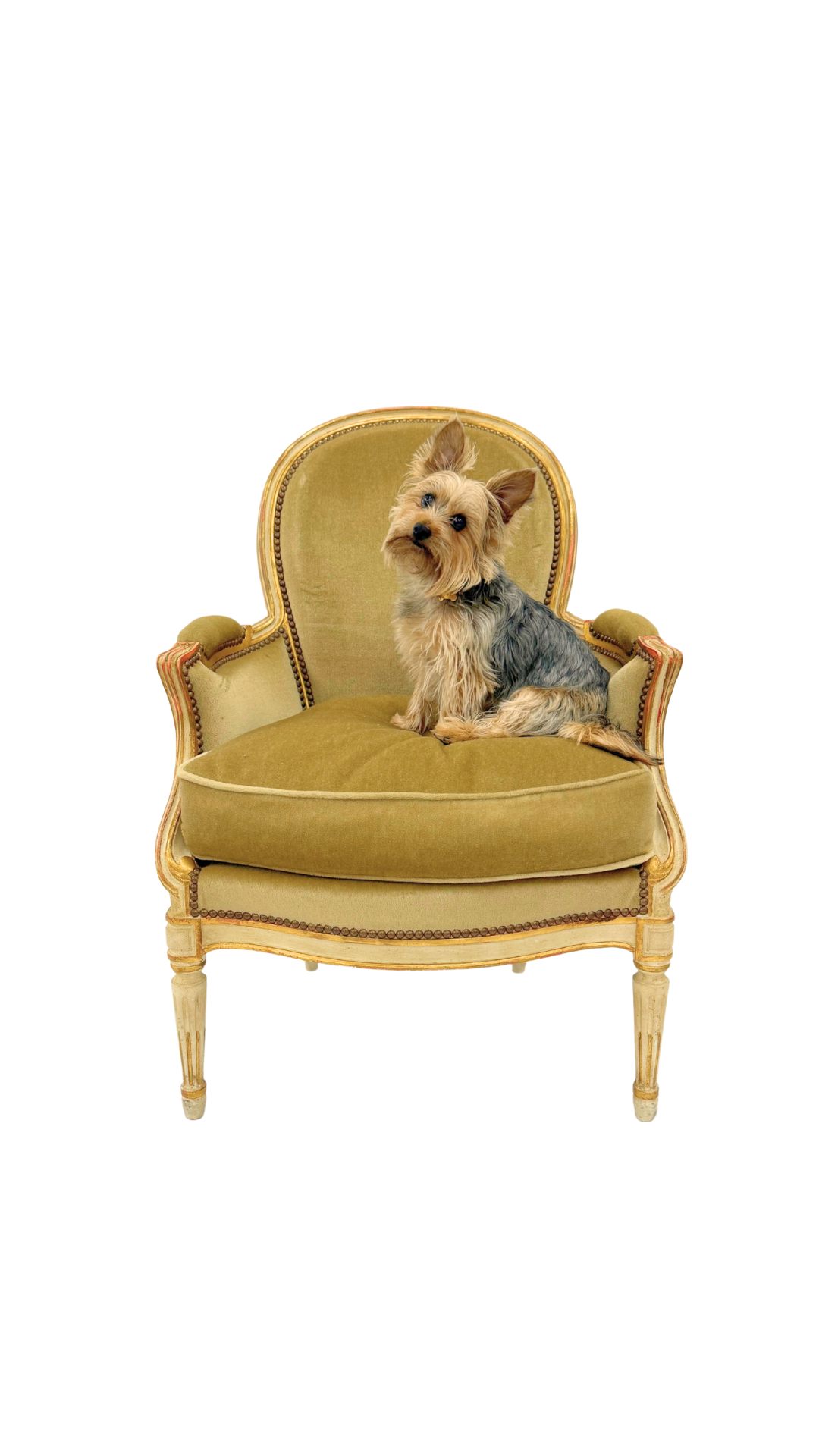French Louis XVI Bergère Chair