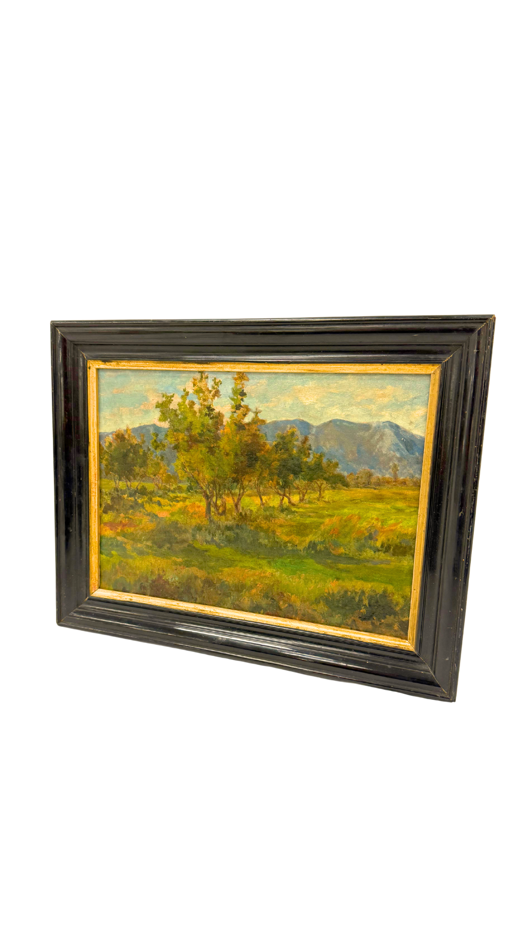Champs et Montagnes Vintage Landscape Oil