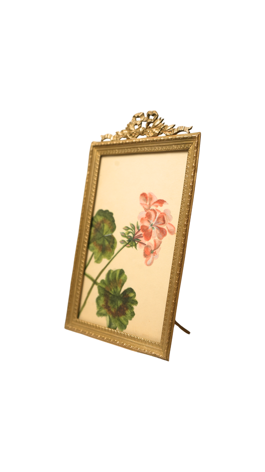 French Geranium Botanical Study in Gilt Frame