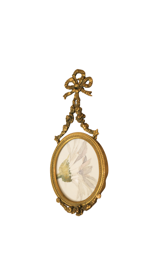 French Daisy Botanical Study in Gilt Ribbon Frame