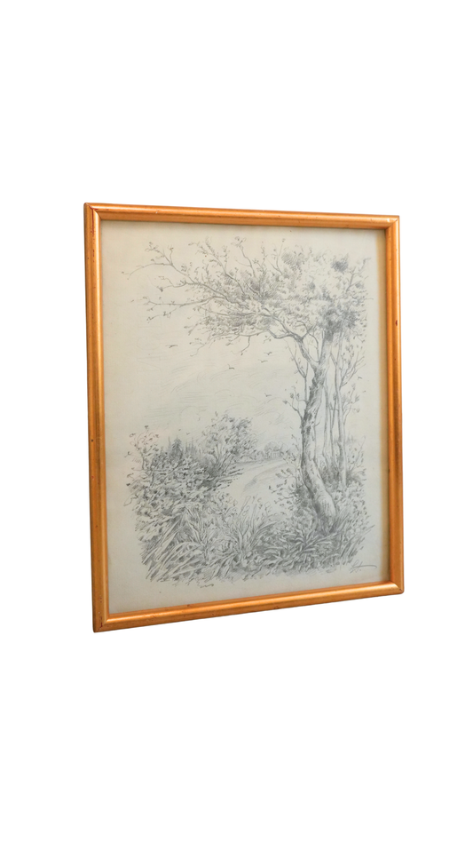 Signed Vintage Pencil Landscape Drawing with Tree & River