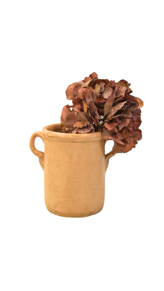 Antique French Yellow Sardine Pot