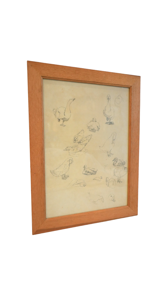 French Graphite Duck & Goose Study