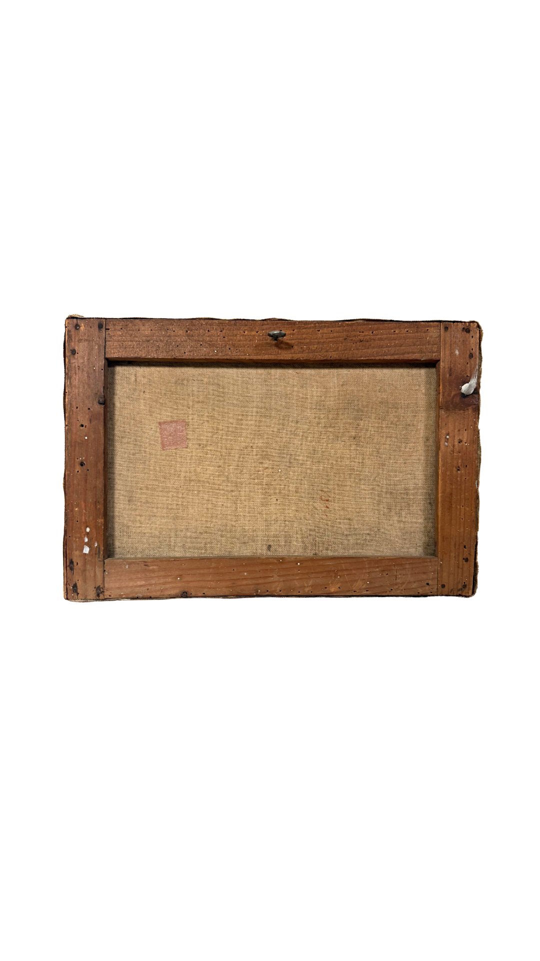 Apple Still Life on Canvas