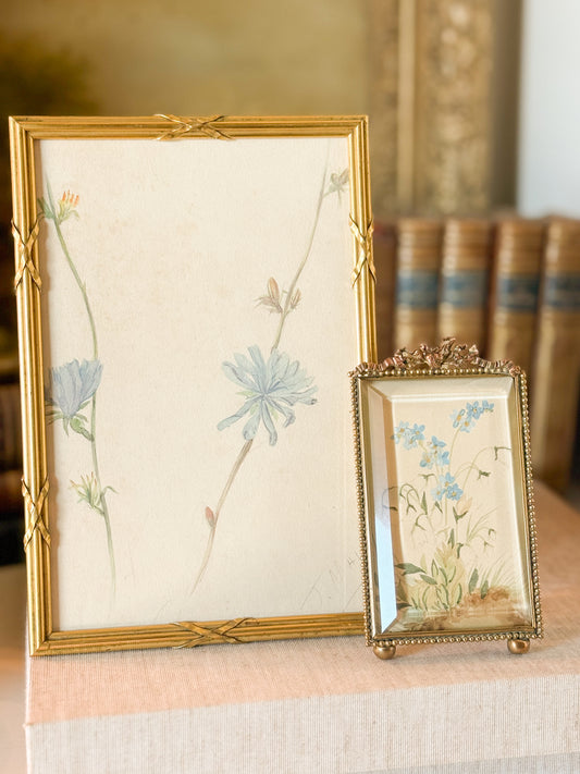 French Forget-Me-Not Botanical Study in Gilt Frame