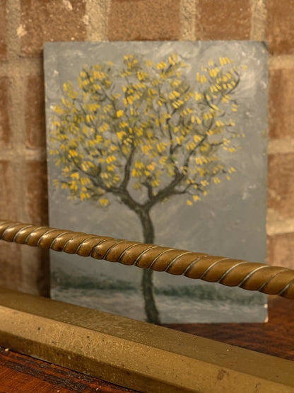 Yellow Blossom Tree