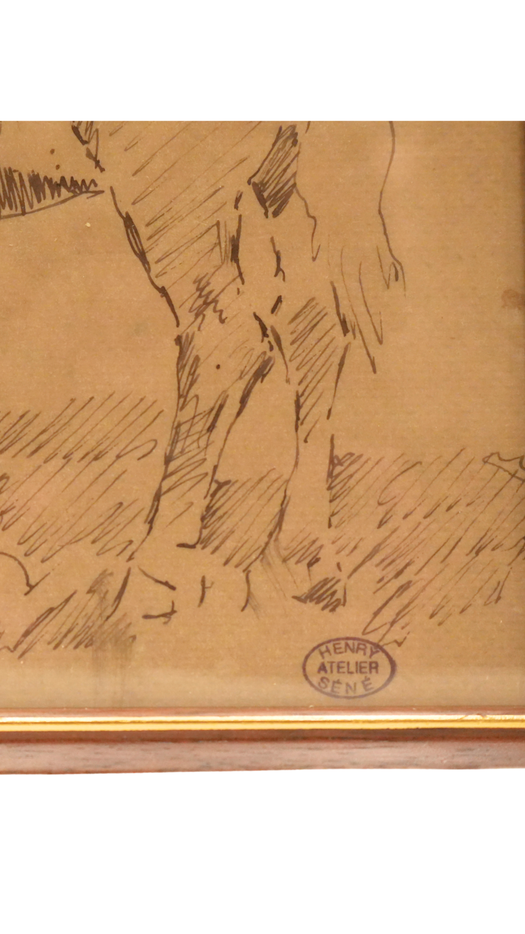 Henry Sené French Ink Study of Horses