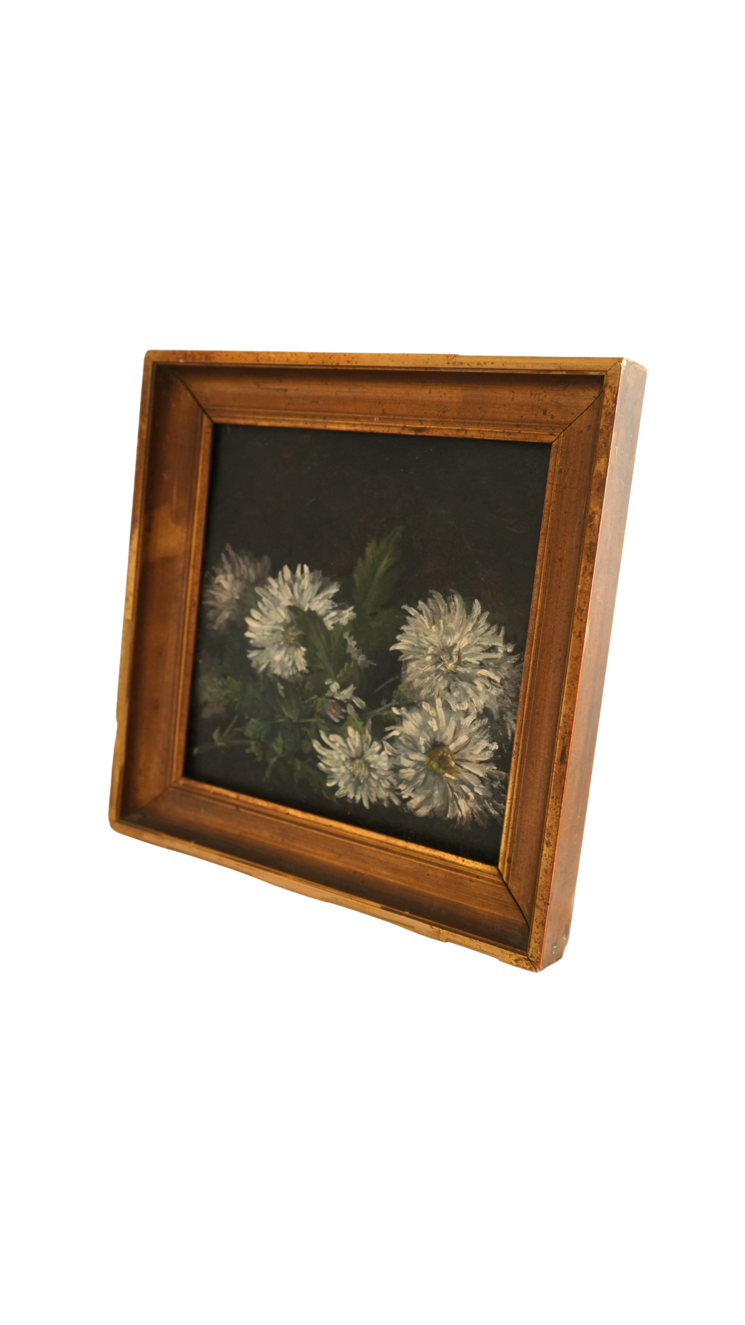 Antique French White Chrysanthemum Still Life