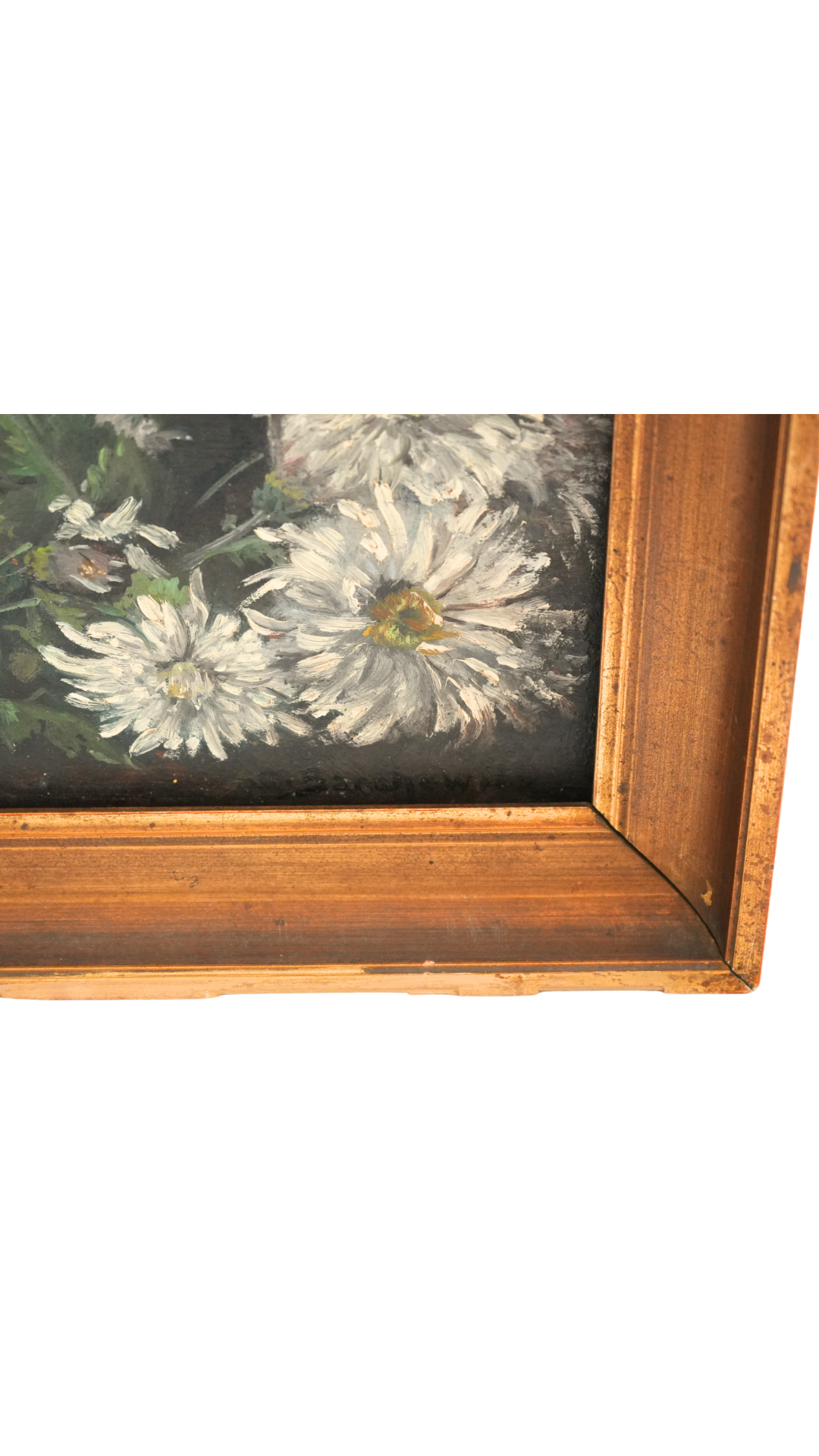 Antique French White Chrysanthemum Still Life