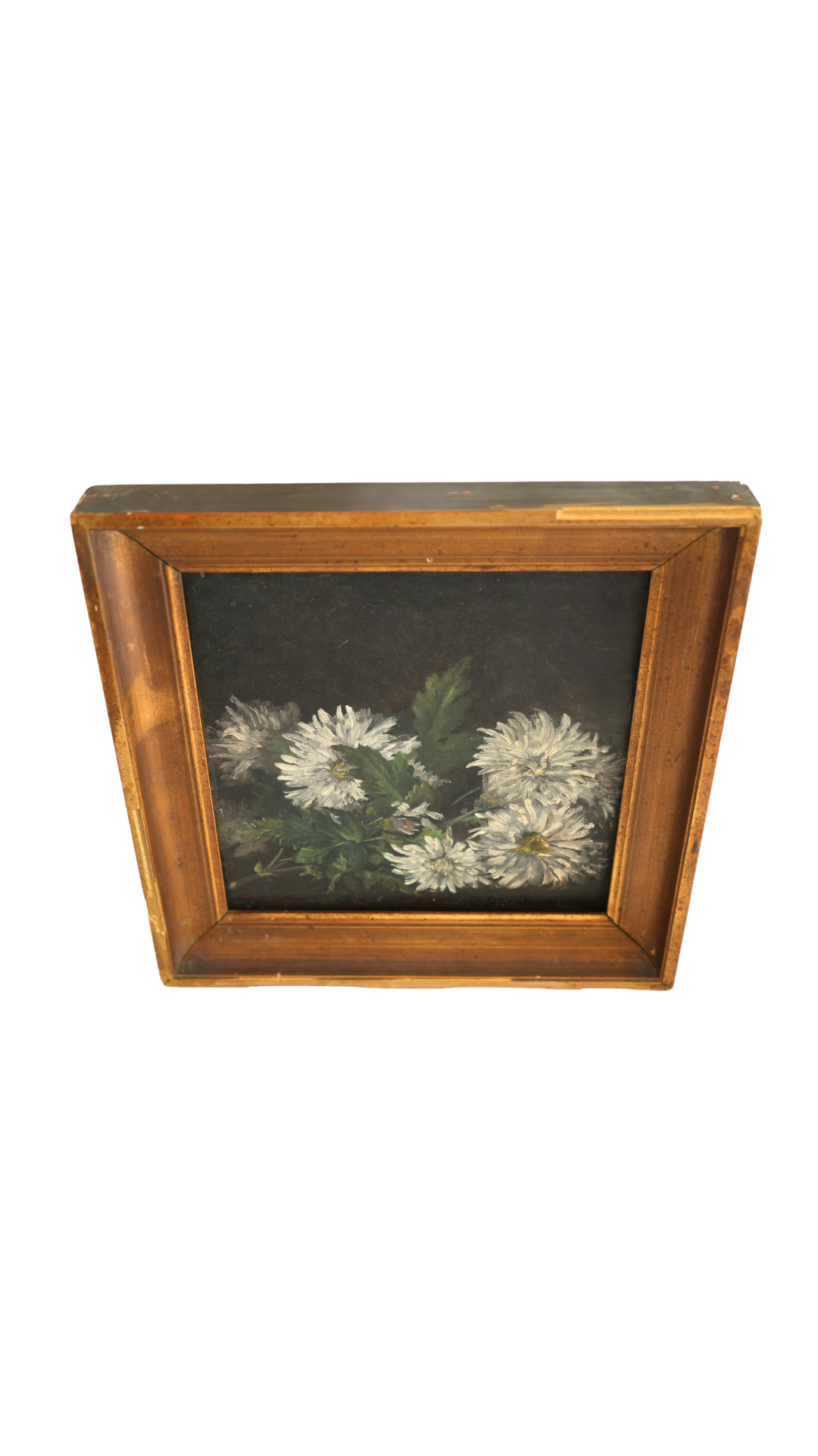 Antique French White Chrysanthemum Still Life