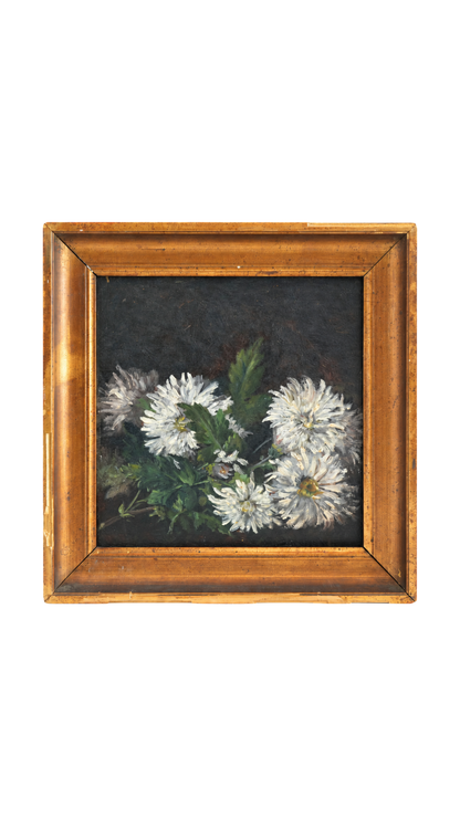Antique French White Chrysanthemum Still Life
