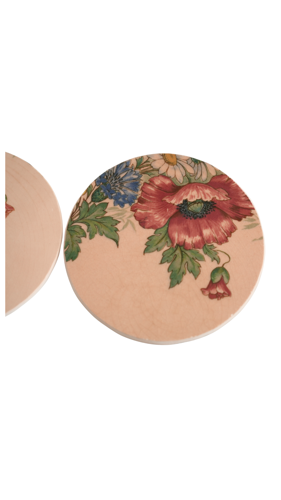 Set of Antique Villeroy & Boch Floral Coasters