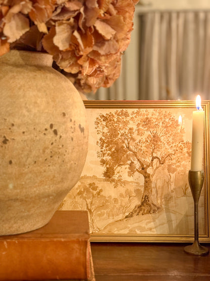 Armand Point Watercolor Tree Study