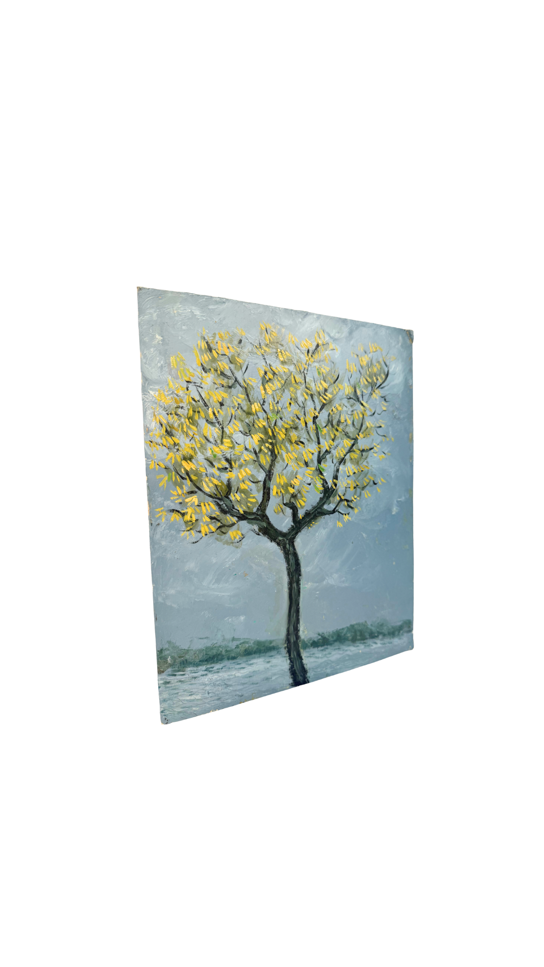 Yellow Blossom Tree