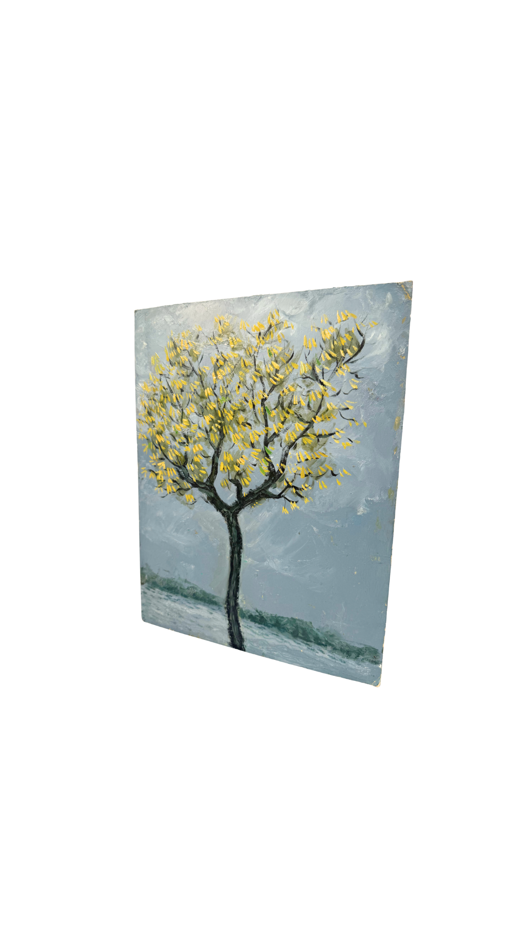 Yellow Blossom Tree