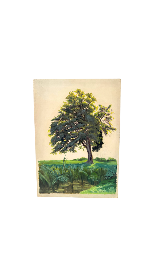 French Tree Study