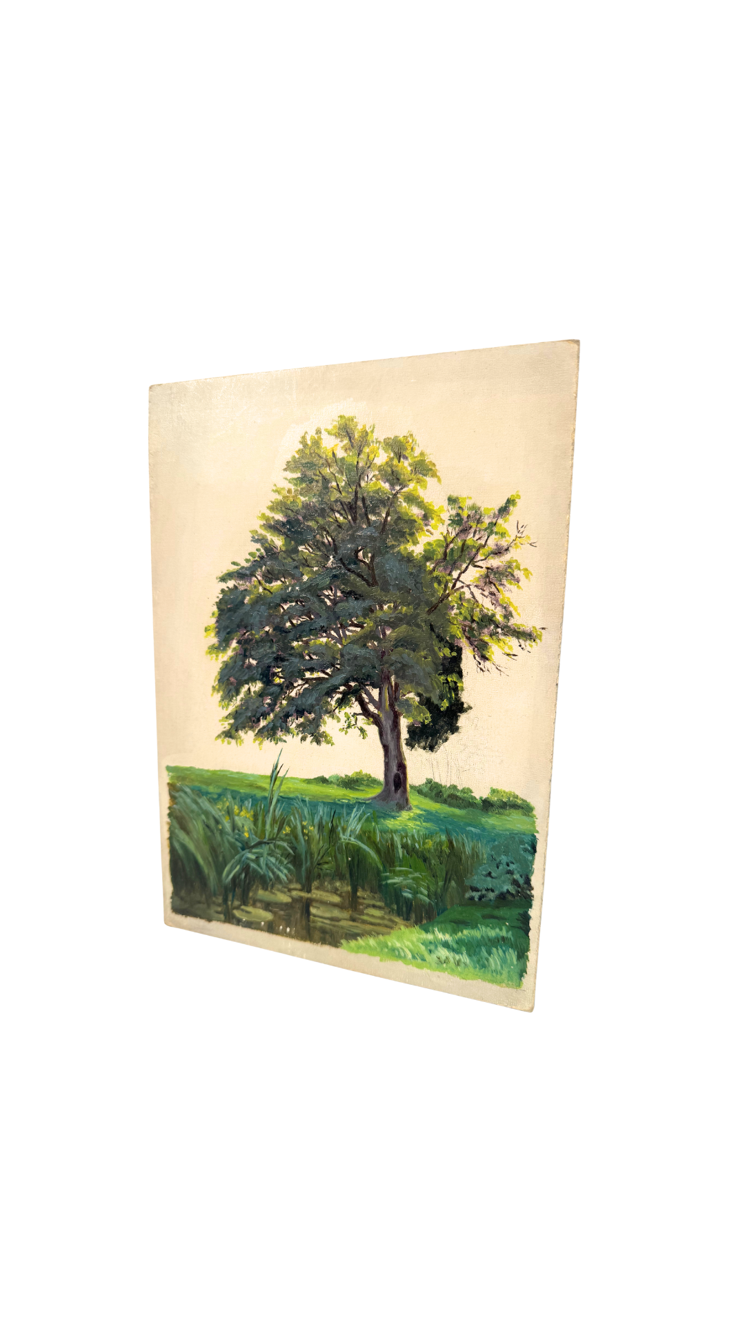 French Tree Study