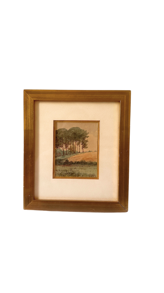 Gold Framed French Watercolor H.SAIM