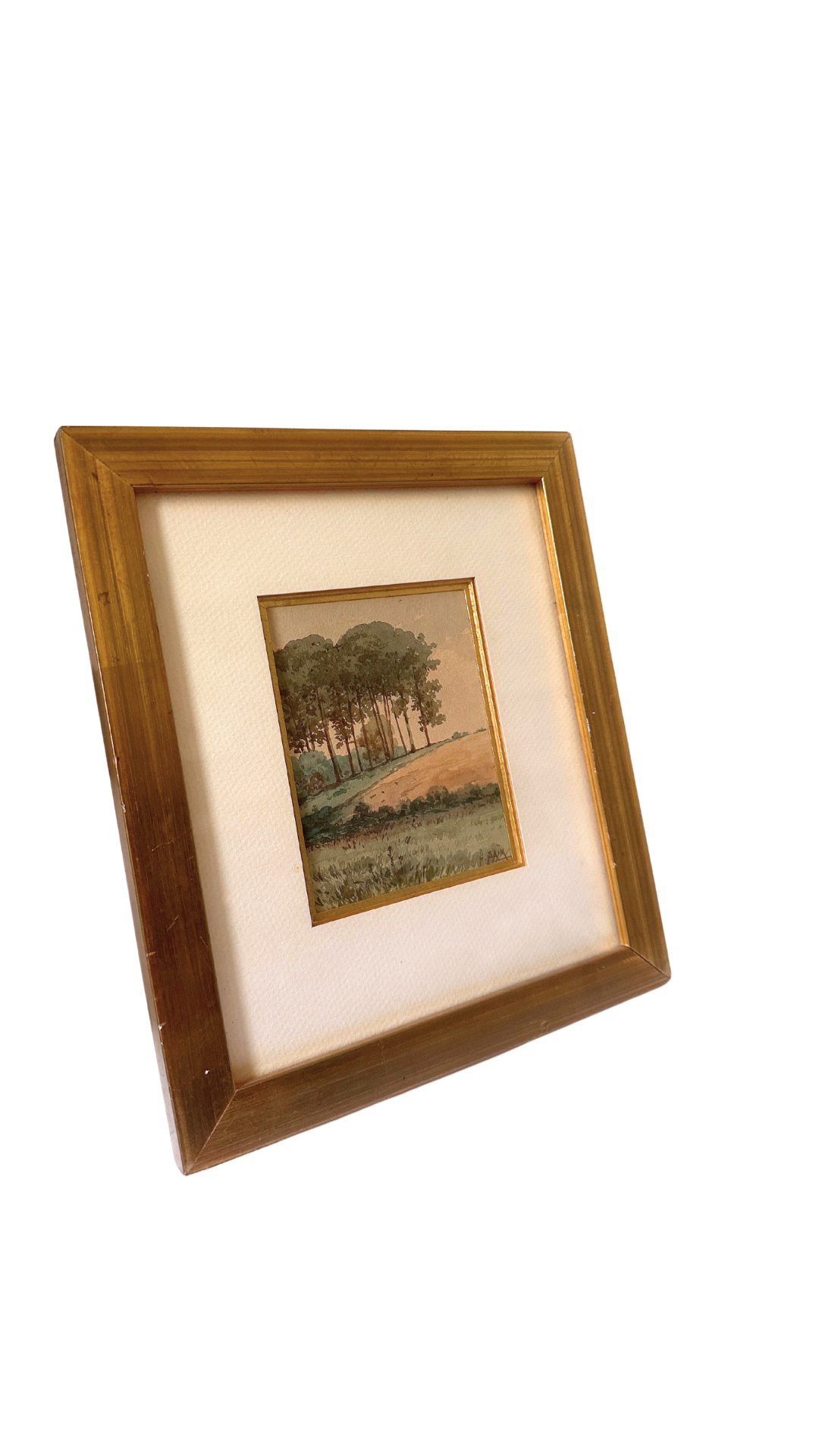 Gold Framed French Watercolor H.SAIM