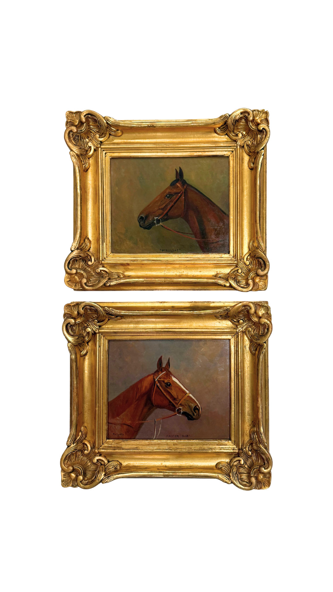 Set of Eugene Pechaubes Horse Portraits 1920