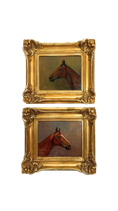 Set of Eugene Pechaubes Horse Portraits 1920