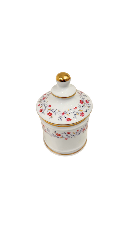 Limoges France Porcelain Jar