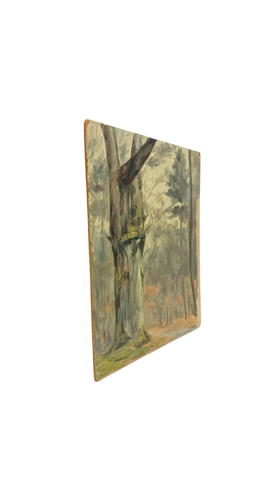 Forest Oil Study on Board