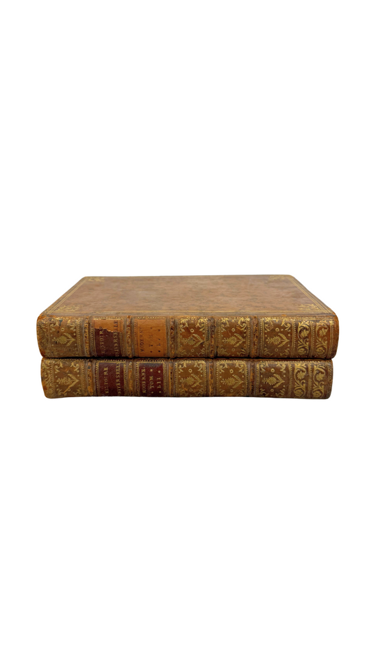19th Century French Backgammon Board