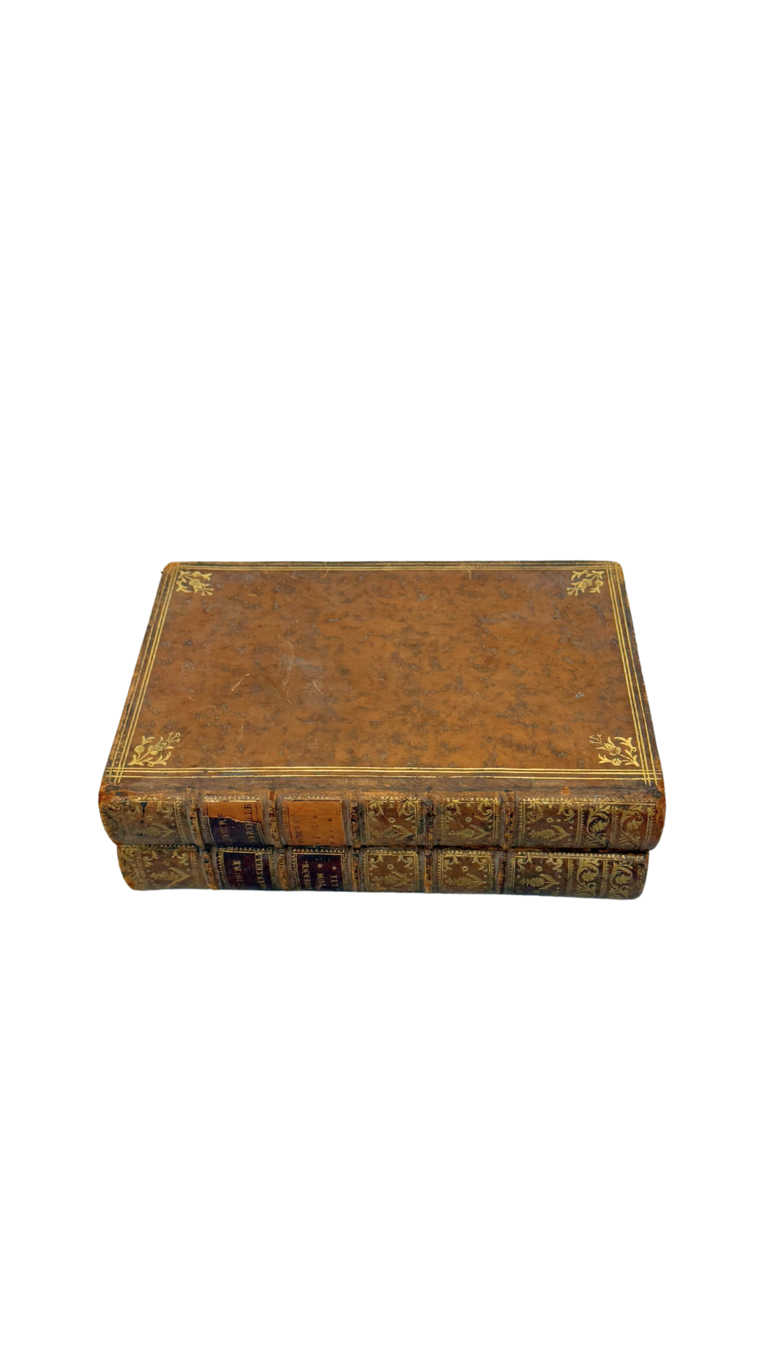 19th Century French Backgammon Board