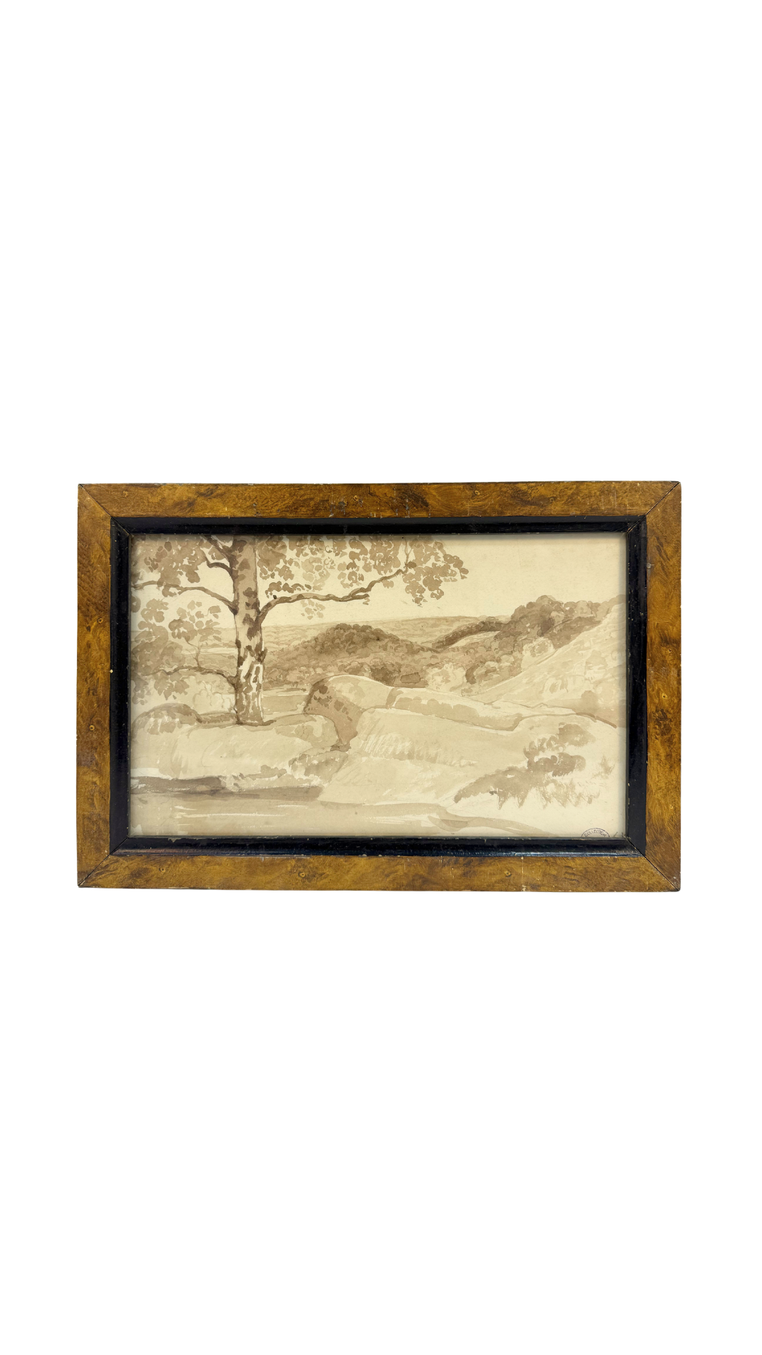 Sepia Wash Landscape Drawing