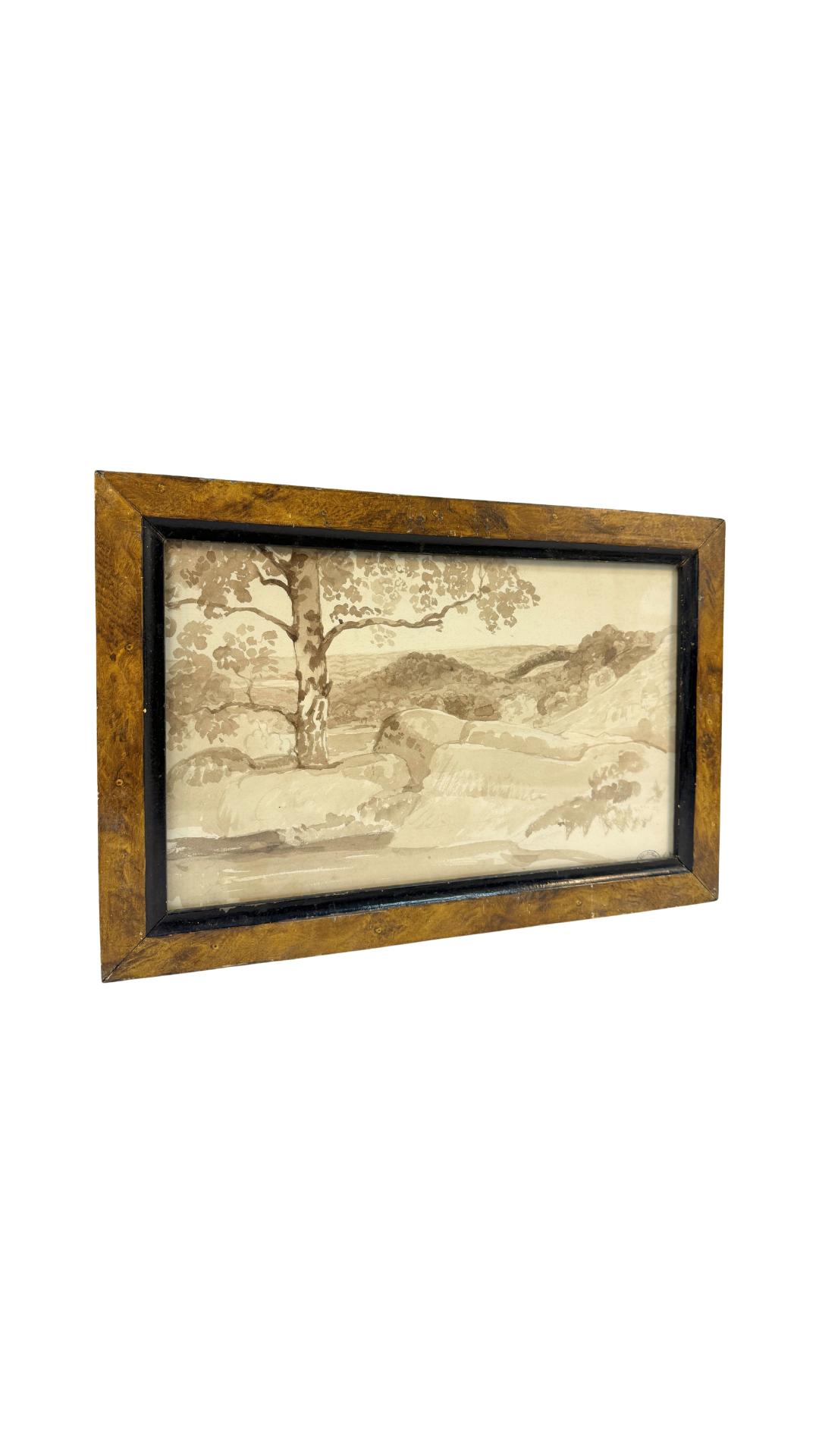 Sepia Wash Landscape Drawing
