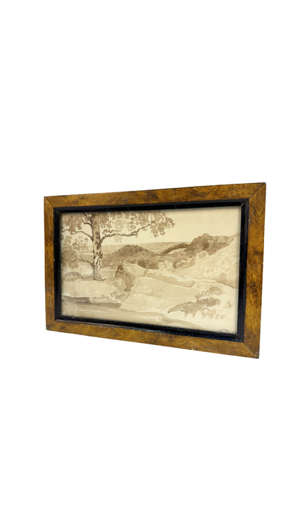 Sepia Wash Landscape Drawing