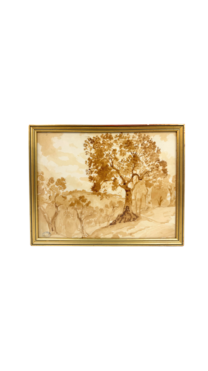 Armand Point Watercolor Tree Study