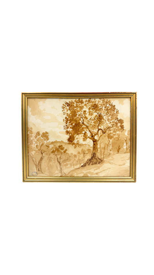 Armand Point Watercolor Tree Study