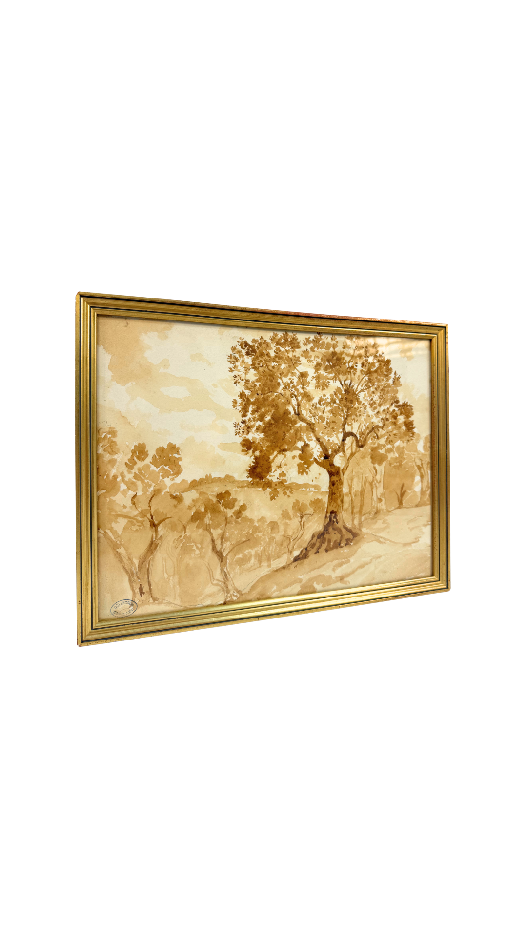 Armand Point Watercolor Tree Study