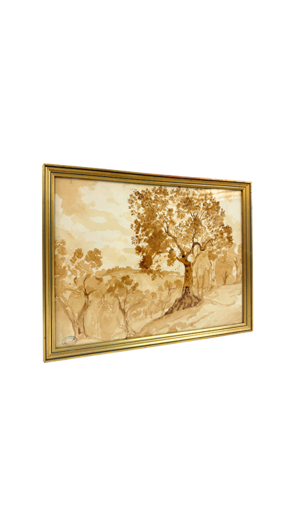 Armand Point Watercolor Tree Study