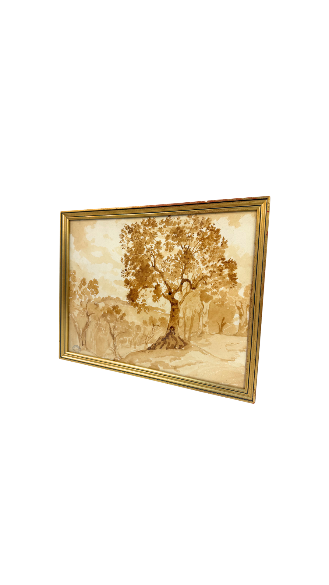 Armand Point Watercolor Tree Study