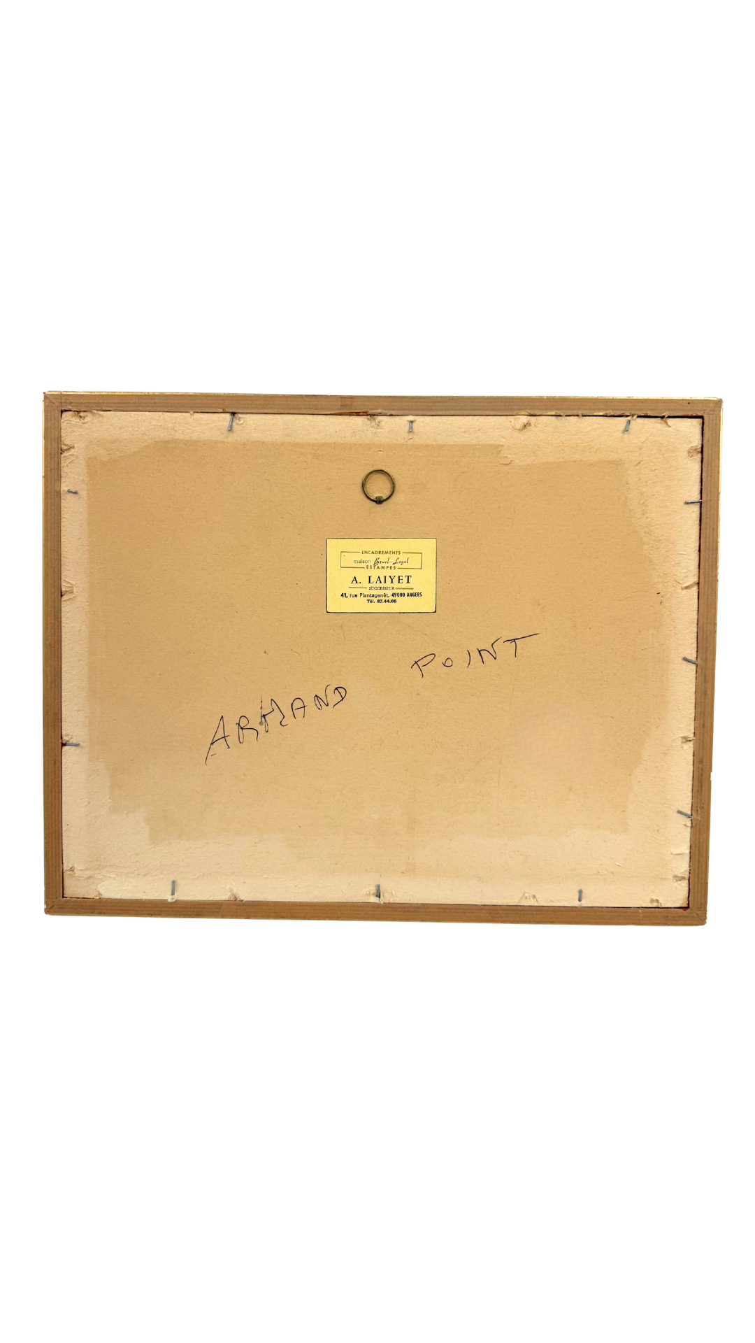 Armand Point Watercolor Tree Study