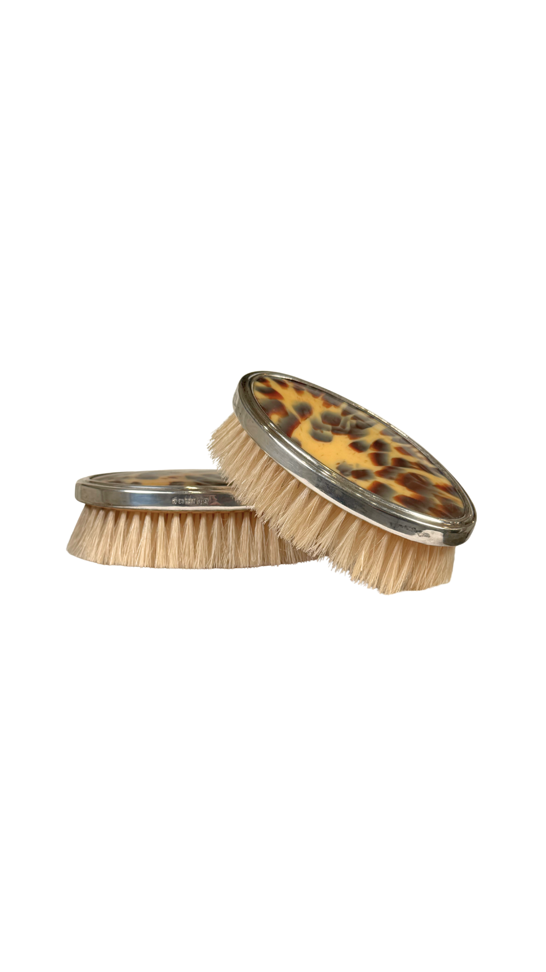 Antique Grooming Brush Set