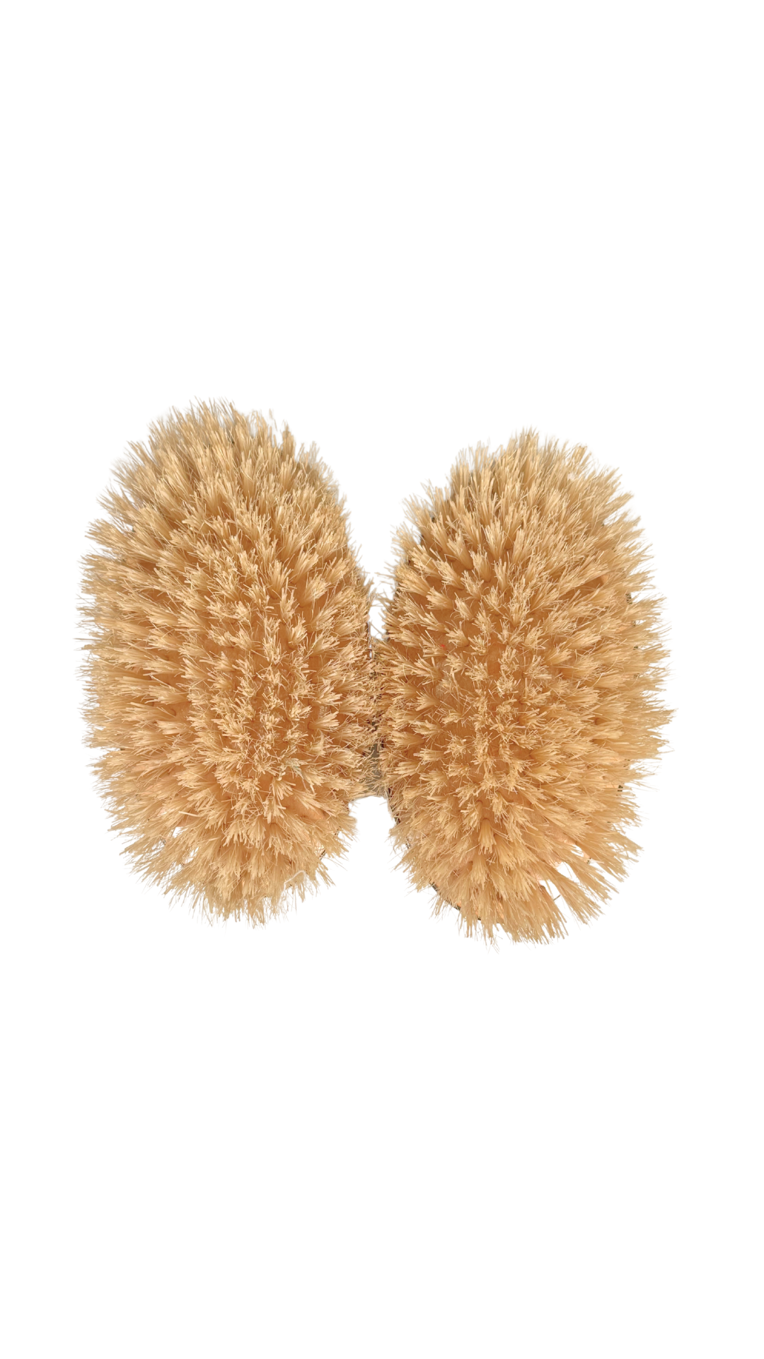 Antique Grooming Brush Set