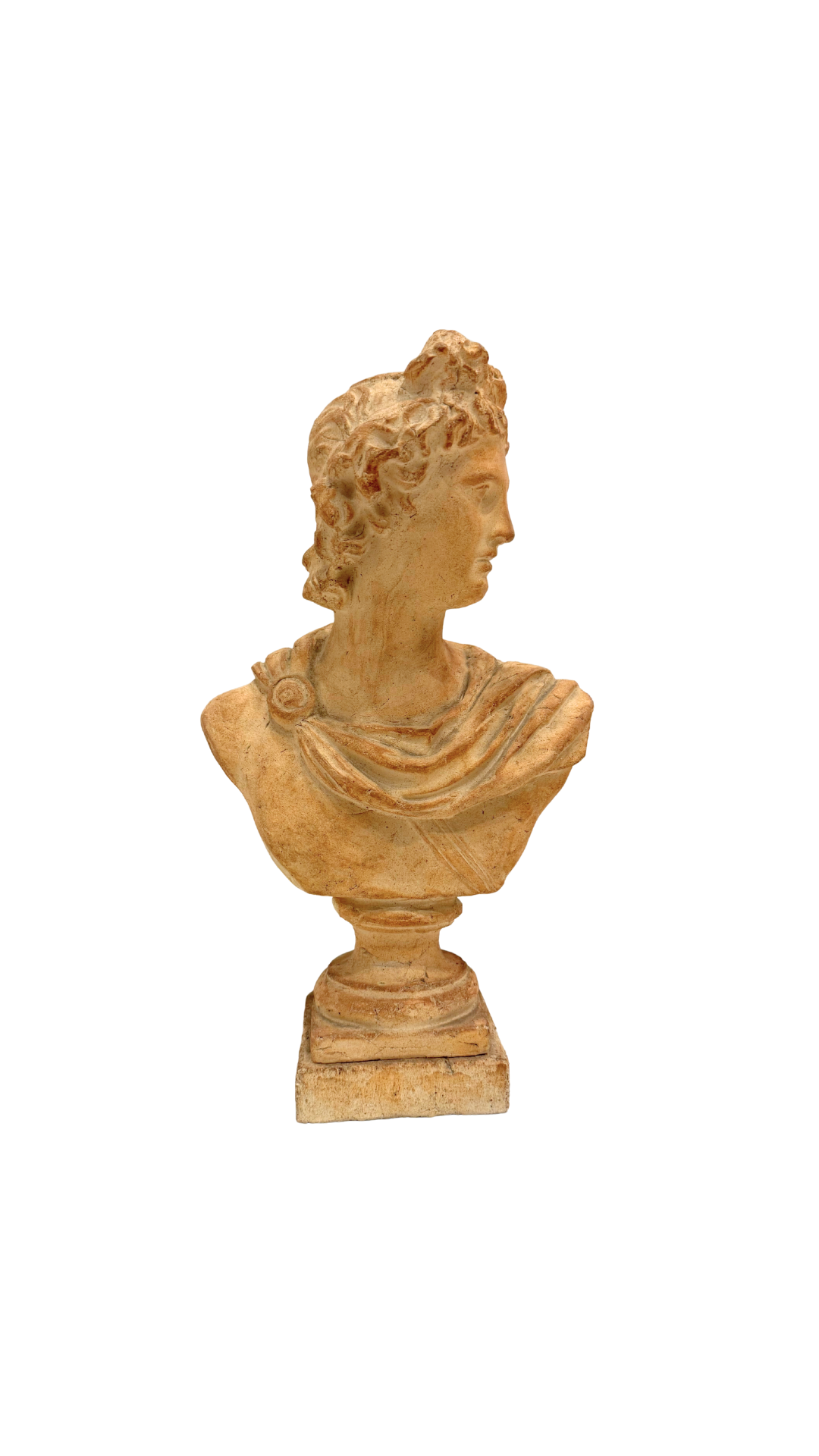 Atelier Michel Cayla Terracotta Classical Bust