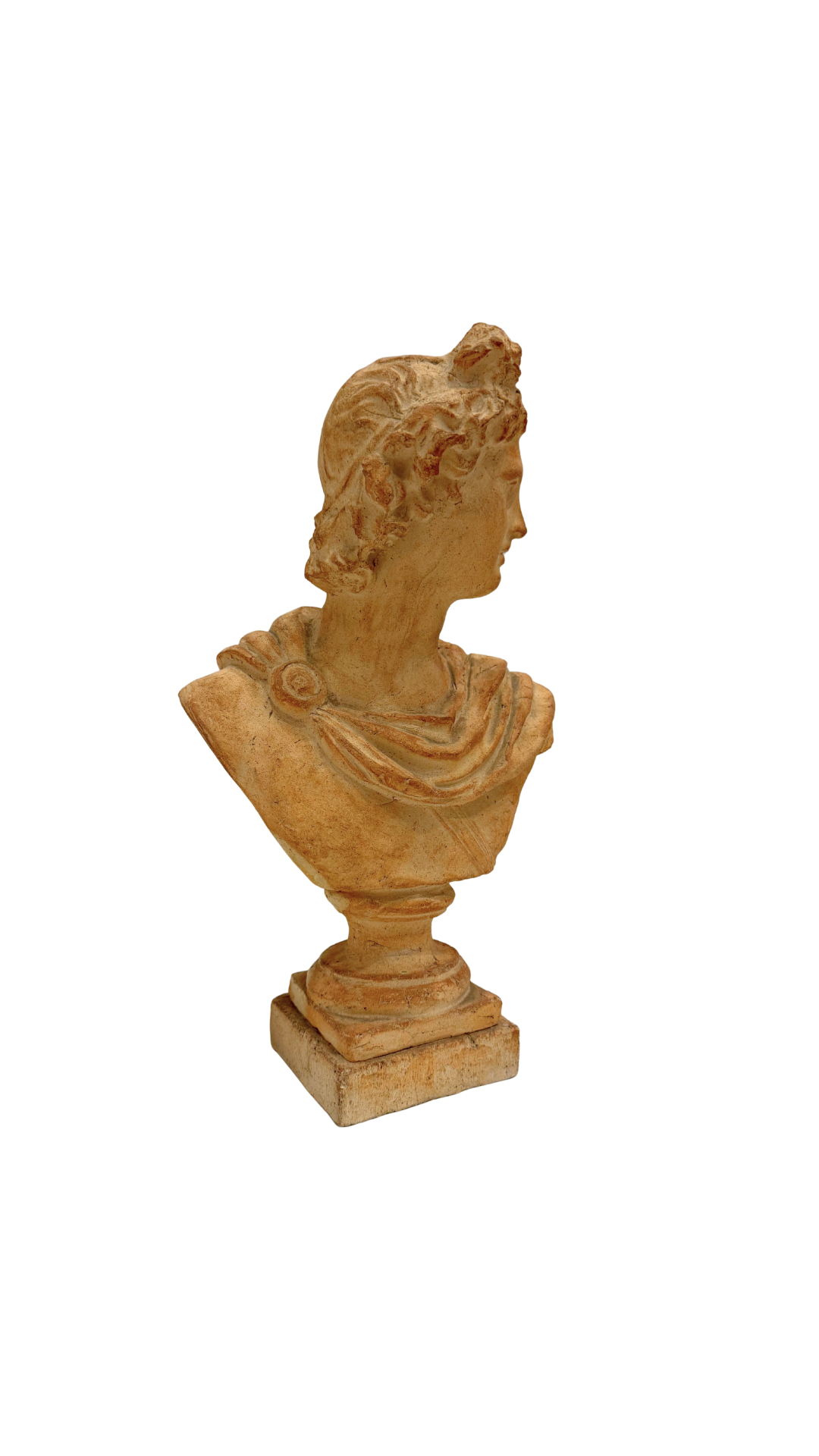 Atelier Michel Cayla Terracotta Classical Bust