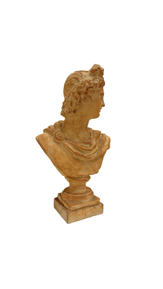 Atelier Michel Cayla Terracotta Classical Bust