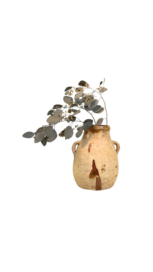 Confit Pot with Glazed Rim