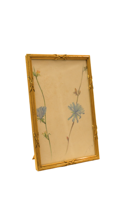 French Wild Chicory Botanical in Gilt Frame