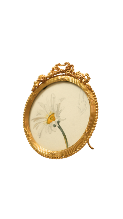 French Oxeye Daisy Botanical Study in Round Gilt Frame