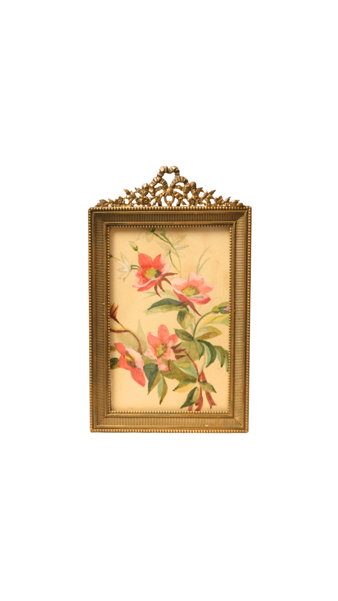 French Wild Rose Botanical Study in Gilt Frame